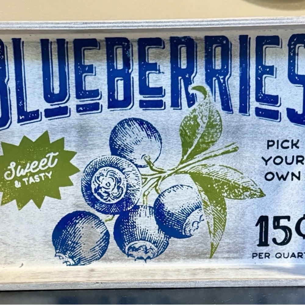Blue and White Blueberry Tray